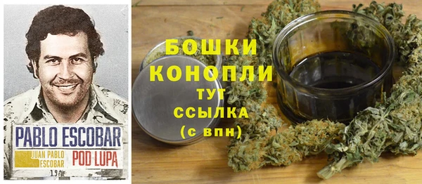 сатива Ахтубинск