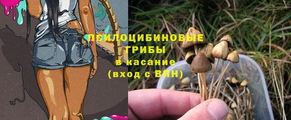 таблы Гусиноозёрск