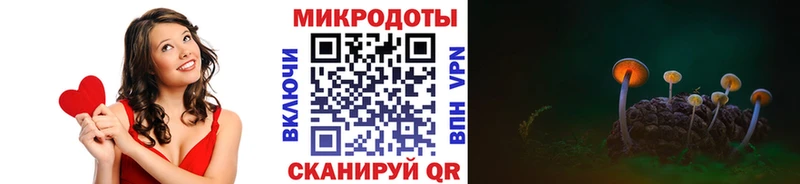 Галлюциногенные грибы Cubensis  omg ссылки  Томмот 